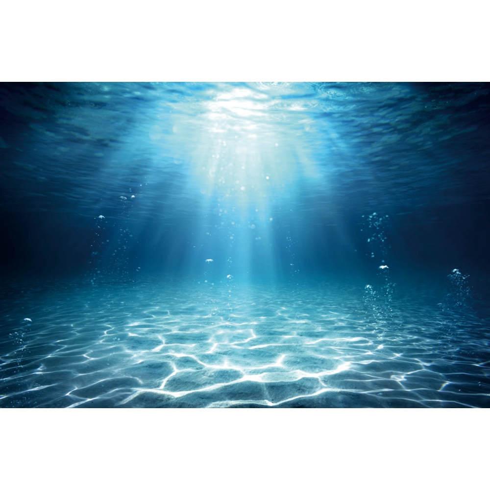 Monde sous-marin fond de mer p - Aquarium Fish Of The World avis et prix