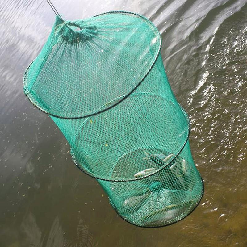 Filet de pêche rond pliant en  - Aquarium Fish Trap avis et prix