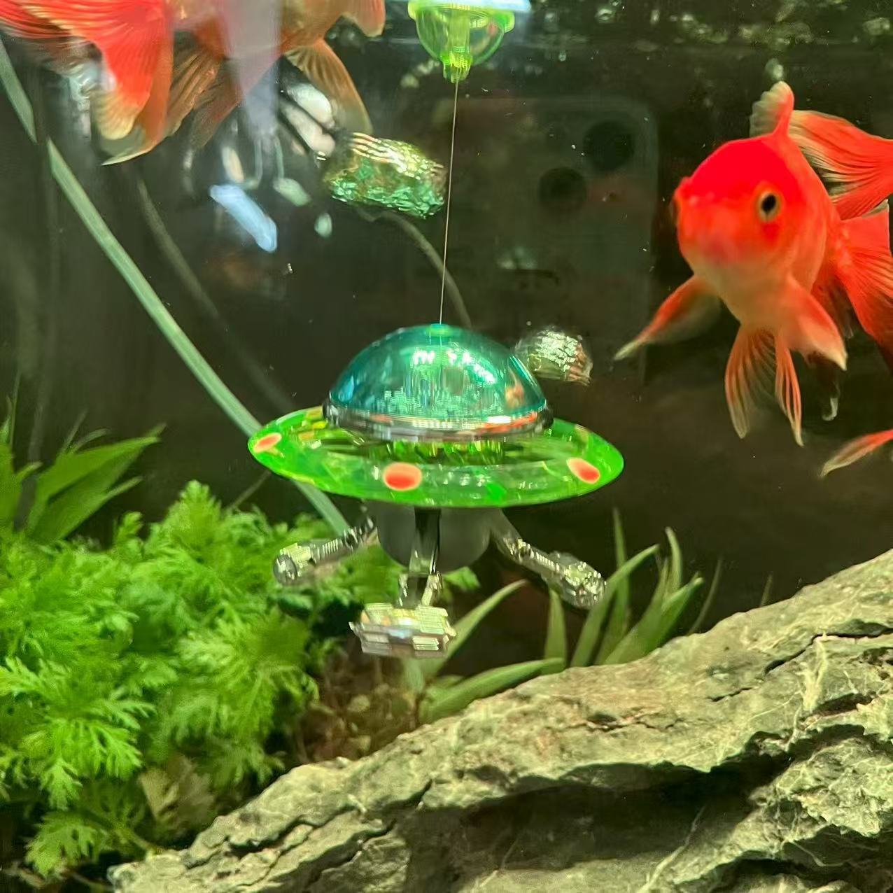 Statue flottante UFO pour aqua - Aquarium Fish Of The World avis et prix