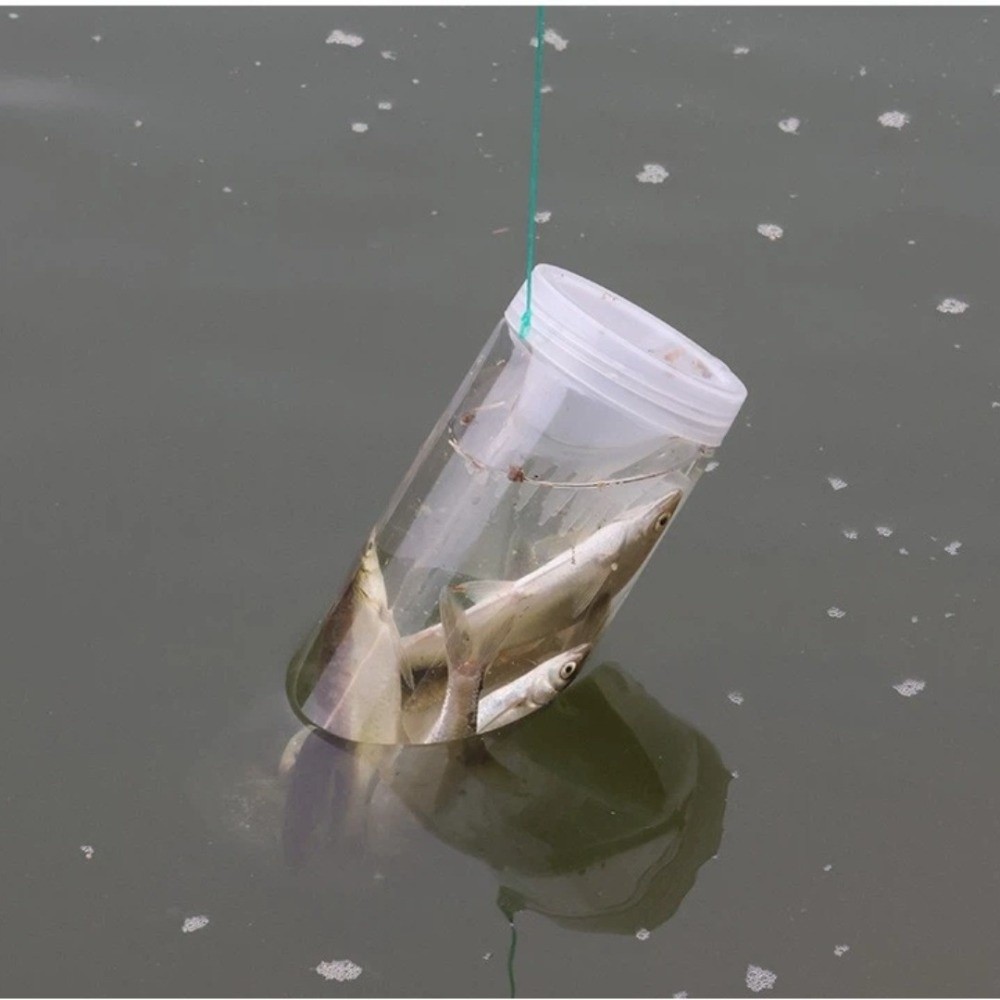 Bouteille de pêche durable, ca - Aquarium Fish Trap avis et prix