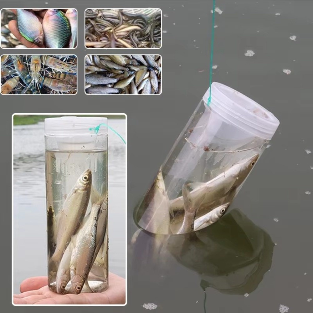 Bouteille de pêche durable, ca - Aquarium Fish Trap avis et prix