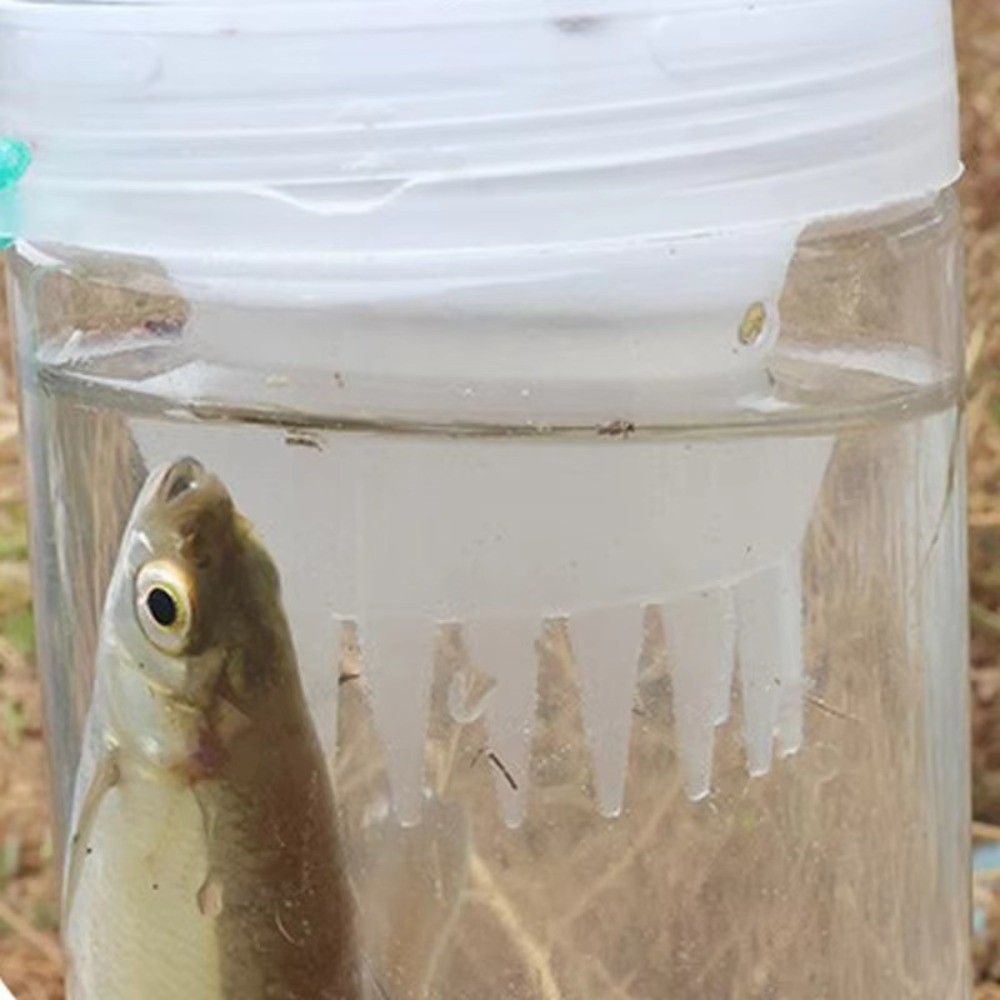 Bouteille de pêche durable, ca - Aquarium Fish Trap avis et prix