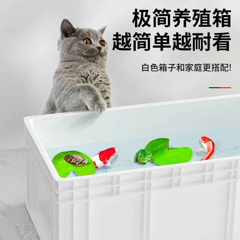 Grand aquarium professionnel p - Fish Co Aquarium avis et prix