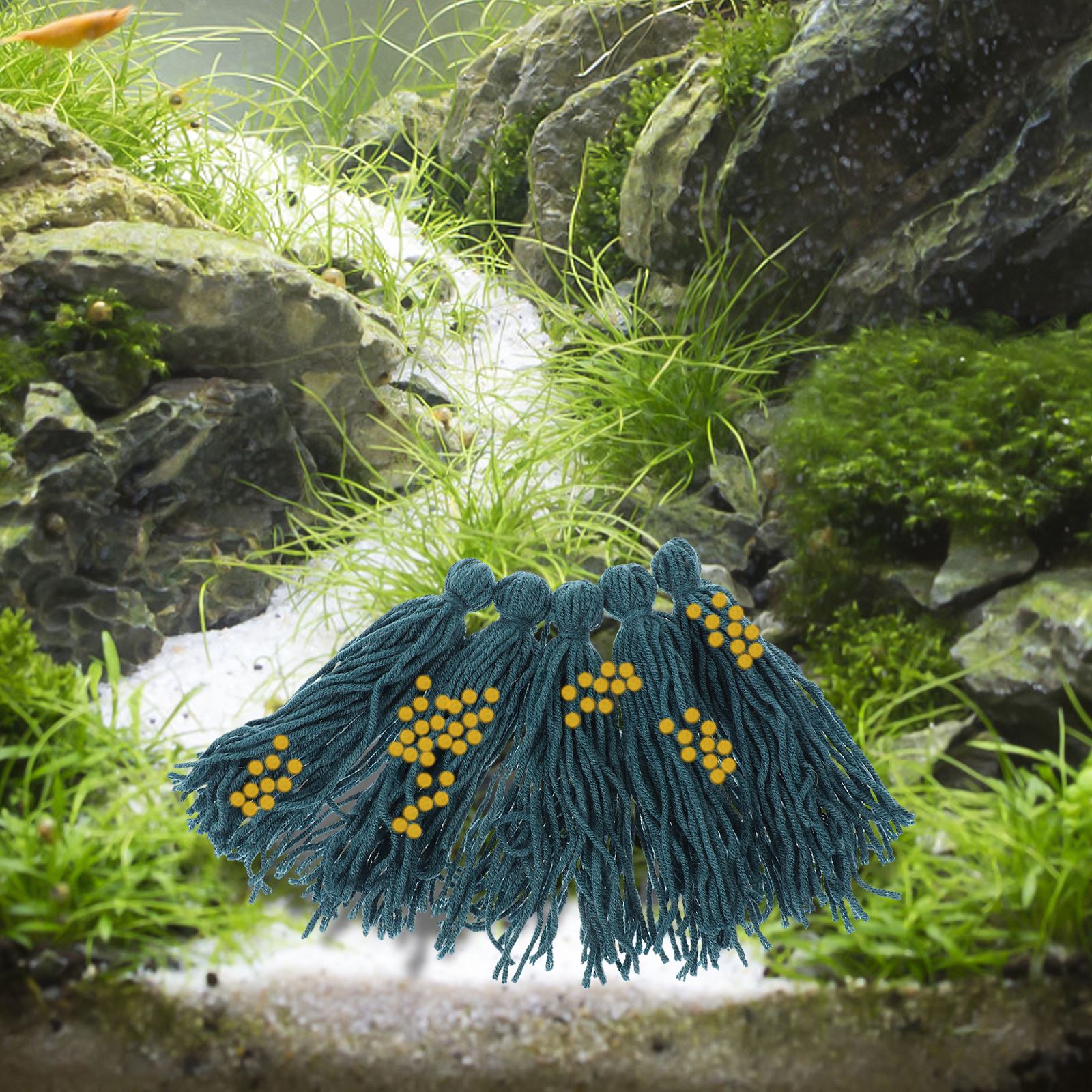 Vadrouille à spaprice pour aqu - Aquarium Fish Background avis et prix
