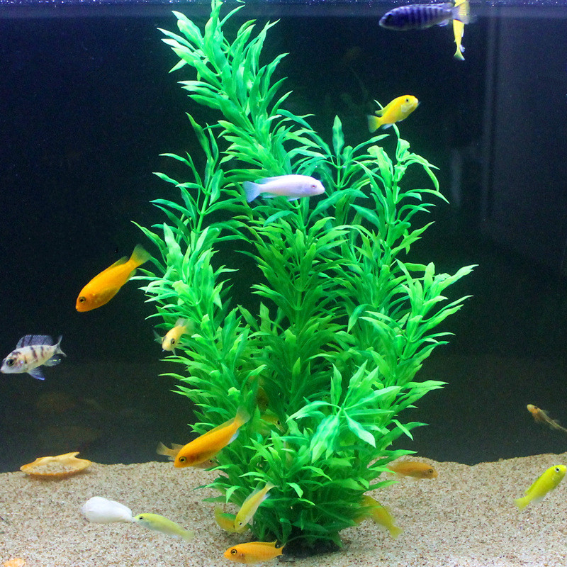Plantes artificielles pour aqu - Aquarium Fish Green avis et prix