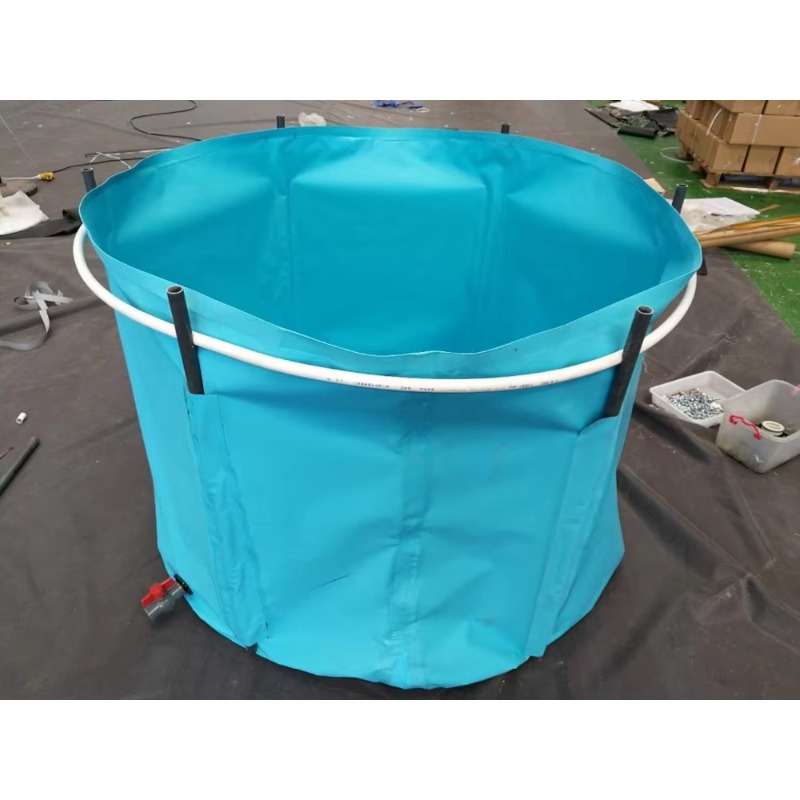Vente en gros de bassins et aq - Aquarium Fish Popular avis et prix