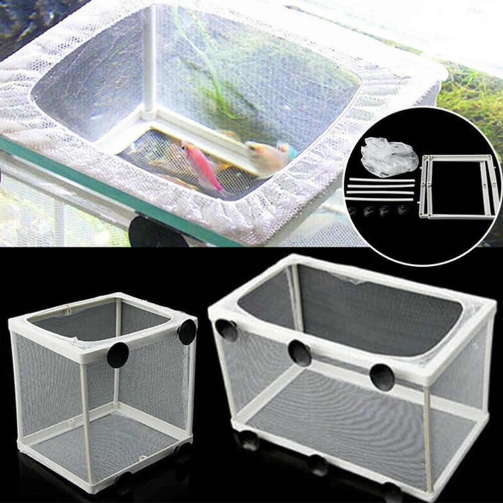 Boîte d'isolation d'éclosion p - Aquarium Fish Trap avis et prix