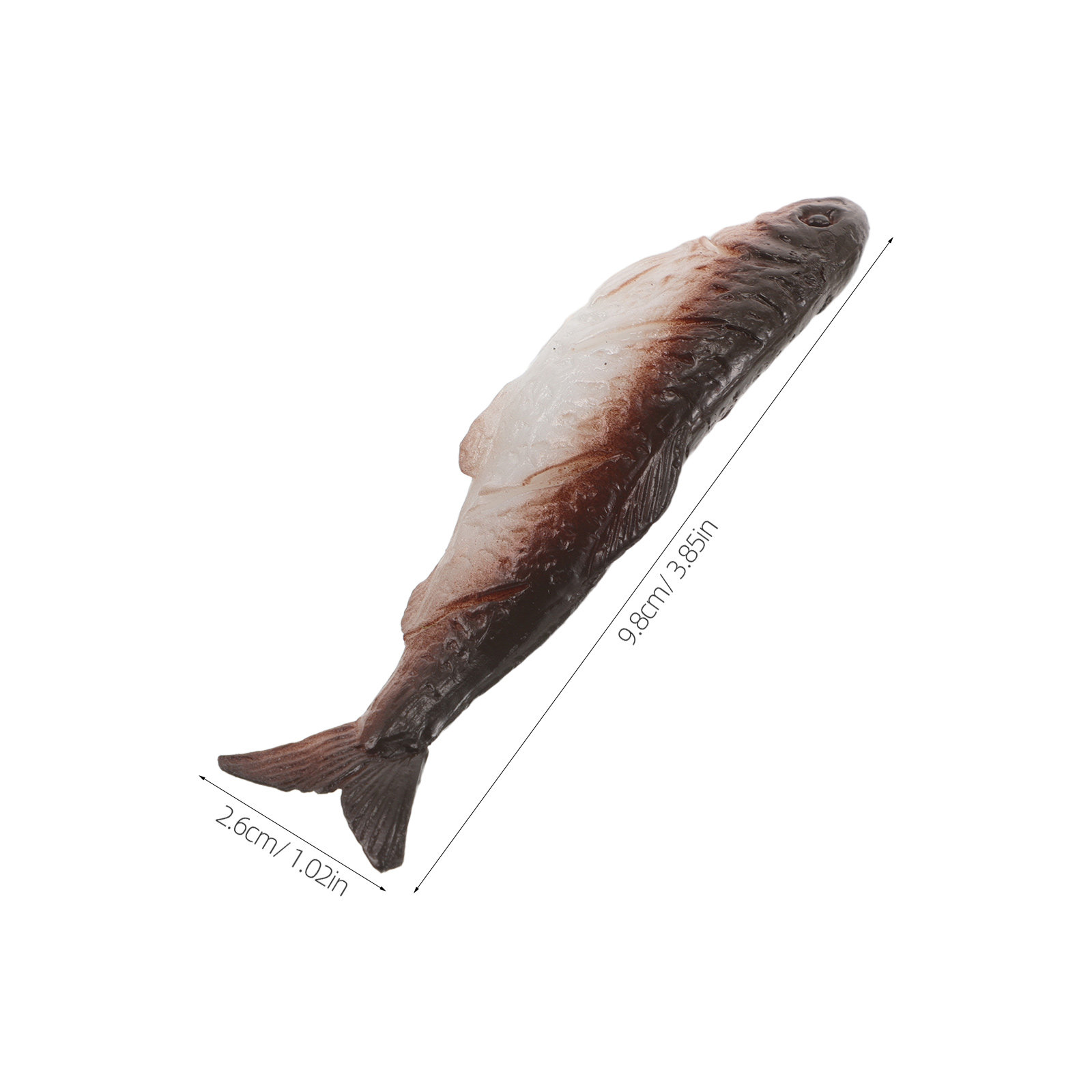 6 pièces de poissons sabre réa - Aquarium Fish Market avis et prix