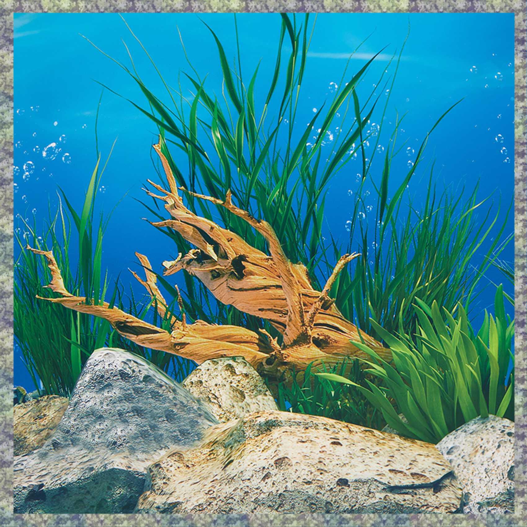 WON Aquarium fond papier HD im - Aquarium Fish Wallpaper Hd avis et prix